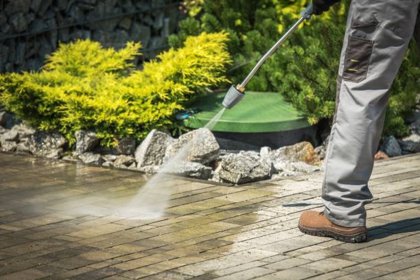 Animal Enclosure Cleaning in Nesquehoning, PA