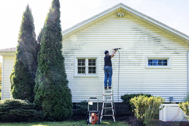 Best Dumpster Area Cleaning  in Nesquehoning, PA